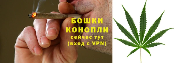гидра Армянск