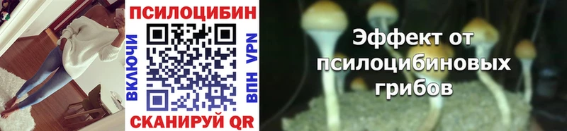 Псилоцибиновые грибы мухоморы  ссылка на мегу сайт  Можга 