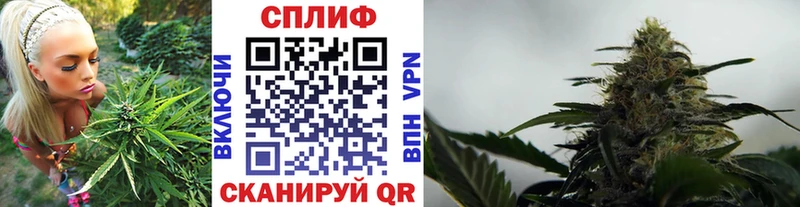 Бошки Шишки AK-47  где продают   Можга 